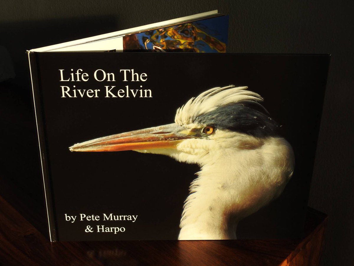 Stunning scenes of wildlife &amp; nature from the brilliant Pete Murray Photography Looking forward to seeing more this Sat !