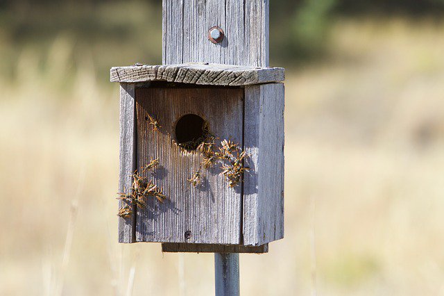 thebeekeeperman's tweet image. I wish everyone would get into raising honey bees because it has a lot of advantages for this world...  #beekeepi...