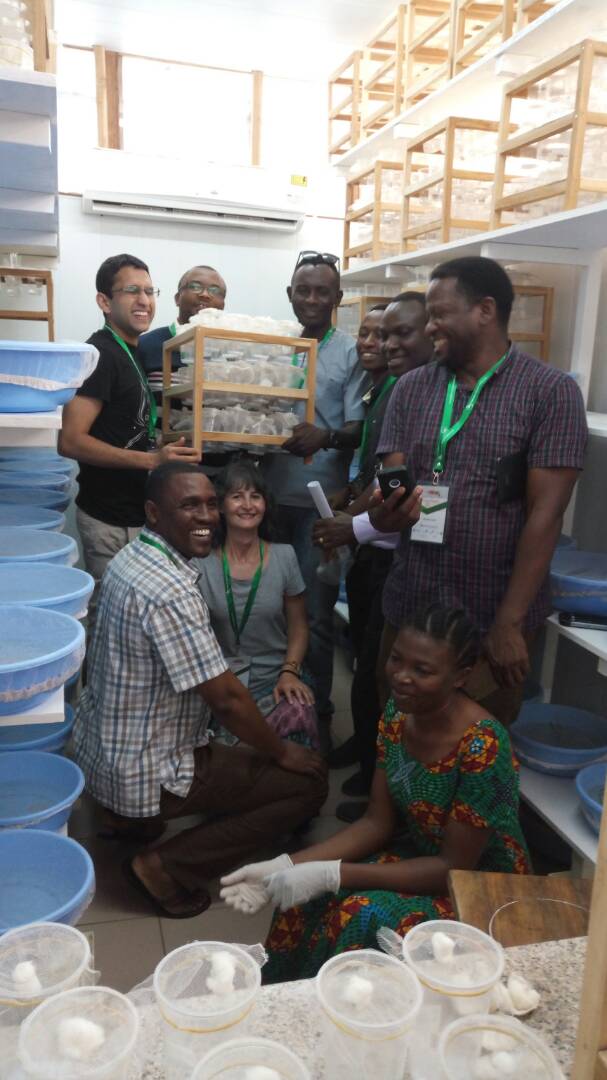 Fredros_Inc's tweet image. Somehow got lucky. Had all th #Funestus superstars inside @ifakarahealth insectary. Profs CHARLES WONDJI, LIZETTE KOEKEMOER, &amp;amp; Drs. ISSA LYIMO, PROSPER CHAKI, SALUM MAPUA the Maestro, E Kaindoa &amp;amp; Nombo @halfan30 @drheatherferg @manuepeter_ @Mumuchalum @pamcafrica @BrianBTarimo