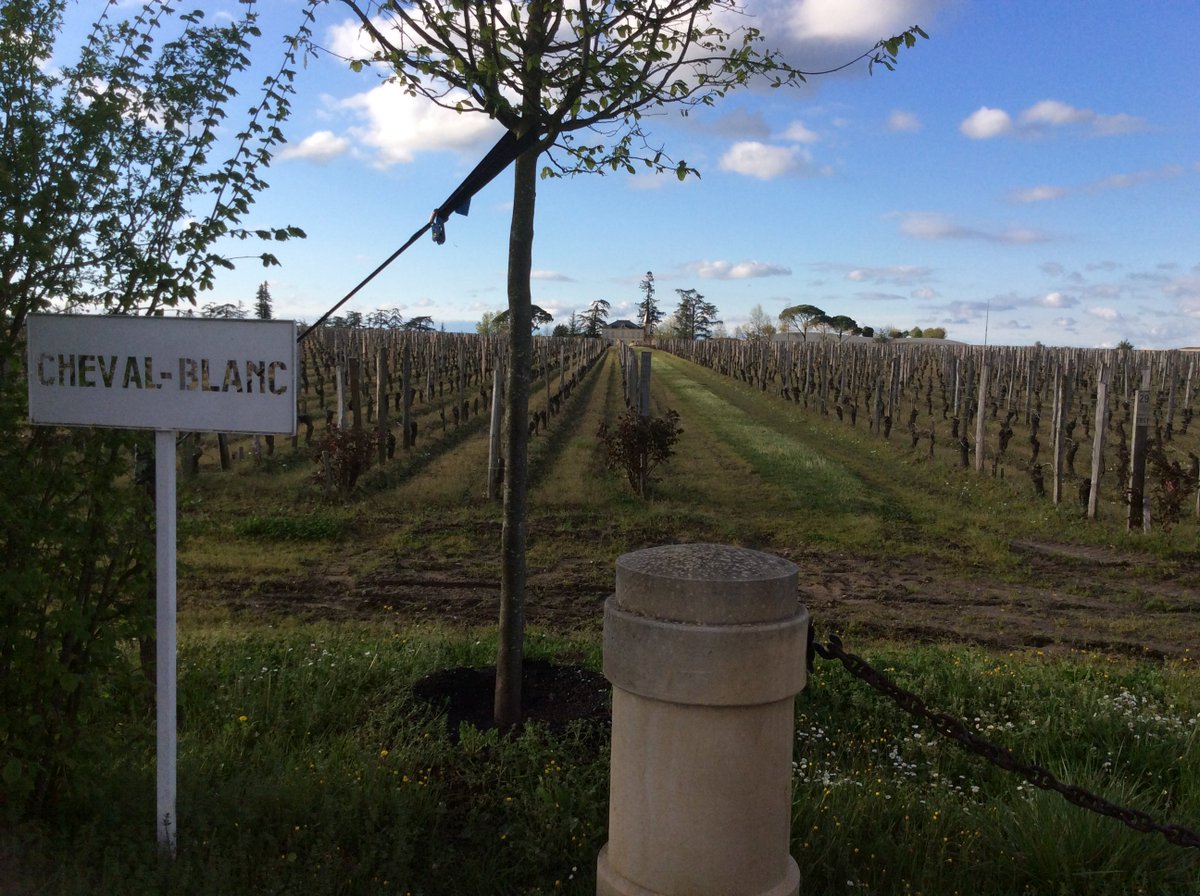 gotowineguy's tweet photo. This was as close as I got to Cheval Blanc in Saint Emilion! The 2017 vintage in Bordeaux is very much a treasure trove of wines that need picking over. In a deckchair vintage all wines are “magnifique”, but 2017 needs a map. https://t.co/KjE8rxYAwN