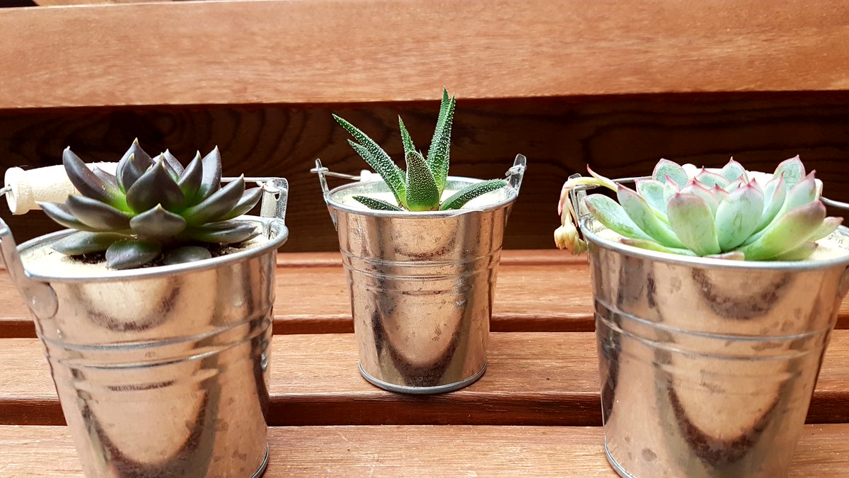 SmallByDesign tweet media