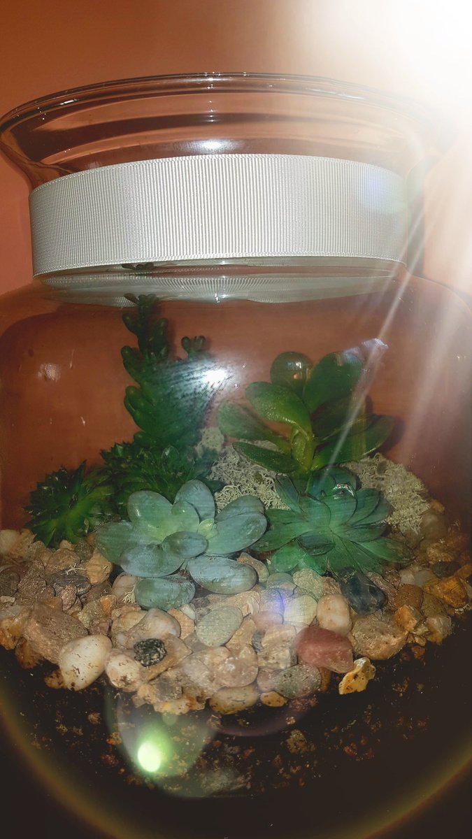 SmallByDesign tweet media