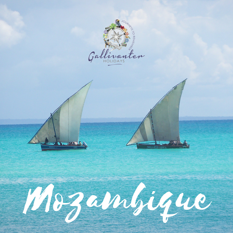 GallivanterH's tweet photo. #Mozambique has some of the most beautiful #beaches in #Africa. It enjoys 2500kms of coastline (1550 miles).
#Dhow #boats for #fishing &amp; transport. 

#gallivanterholidays  #mozambique #Mozambiqueholiday #moçambique #honeymoondestination #travel #honeymoon #traveltuesday #ttot https://t.co/XJiITG8lfP