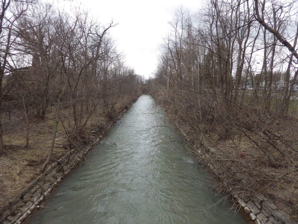 trackrahner's tweet photo. Green Space in A Gray City is tabling next week at Earth Week!  Come check it out Monday and go for a Urban Nature Walk!  In the meantime, check out our element 3 interview and our new park of the week
#nifkin #greenspacegraycity #urbannature #kirkpark
https://t.co/D5HyCl0r1h https://t.co/oQU7JRHnC8