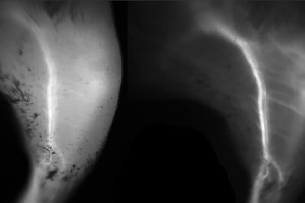 NSF Science 360 tweet media