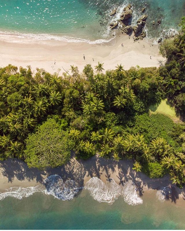 costaricaexprts's tweet photo. “Give me sunshine, a beautiful beach, a bikini and a cold drink - &amp; I’m the happiest in the world ☀️” via @everydaymantras of Manuel Antonio National Park! #costaricaexperts #costarica #manuelantonionationalpark https://t.co/fnsoCJFxs0 https://t.co/EklPeqVX86