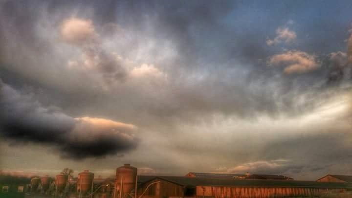 Chris Garner tweet media