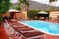 HealthyFriction's tweet photo. #HealthyFriction #OverflowHotel #TortugaDelSol 7 Rooms Available.
#CaliforniaHeat #PalmSprings
https://t.co/sEmj6jsLPM @TortugaDelSol https://t.co/xRaPTGsMU2