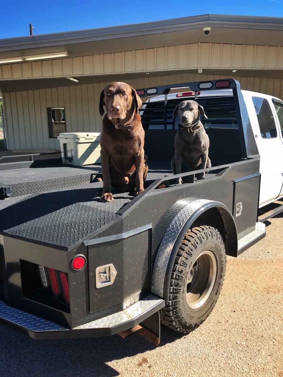 #NationalSiblingsDay