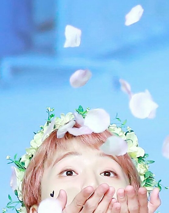 ptgsdetails's tweet photo. #JINHO
⋆ bubbles
⋆ flower petals https://t.co/bm509UsyZJ