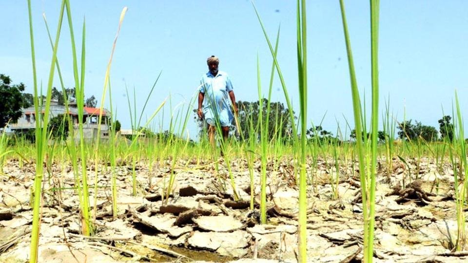 uppu__123's tweet photo. temp reached  46.8°C. reduction in nutritional quality of foods (like protein, iron, zinc) due to elevated carbon dioxide levels (FAO, 2016). 53%  cropped area unirrigated.#low_production_of_food #decreasing_food_Quality
#ADI_IS_IN_DANGER😙😊😉😆 https://t.co/tQjqzO7gkQ