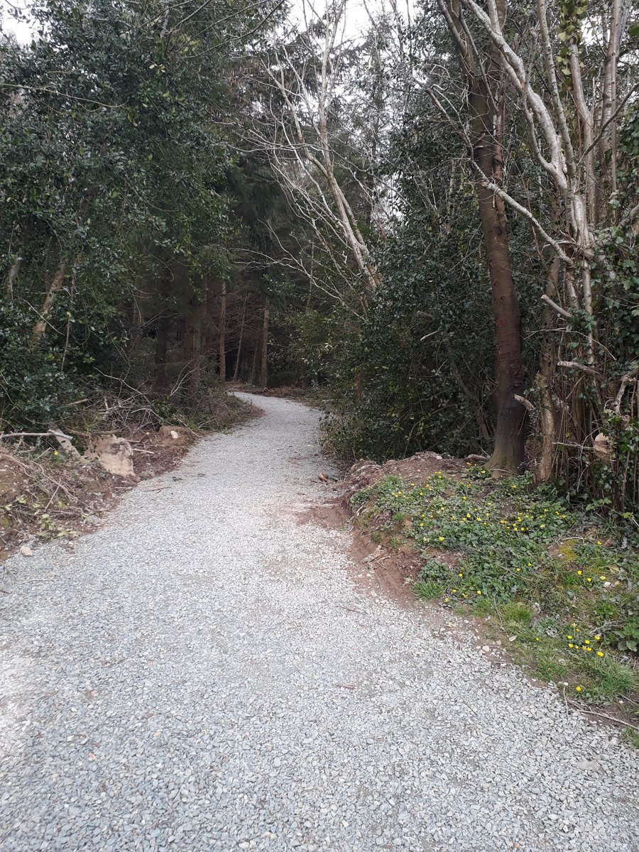 Why not take a walk in the recently opened Ramsfort Woods, Gorey. #OurCouncilDay