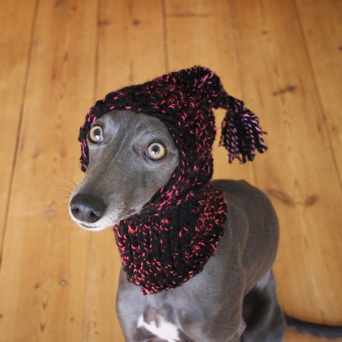 whippet hat