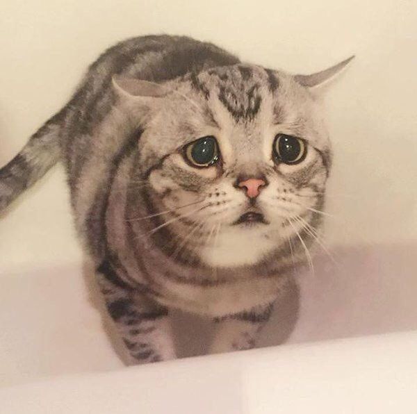 StumblerTop's tweet photo. When your friends make plans and dont include you https://t.co/UDCvwvuaZ4