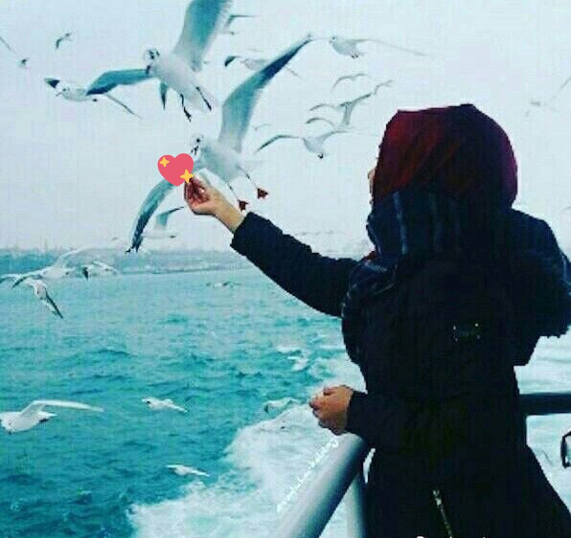 Shomuk81's tweet photo. احيان ابوح وداخلي روح شــاعر 
واحيان شاعر بس خالي من الروح 
.
ماني من اللي يجرحون المشـــاعر 
حتى ولو قلبي من الكـــل مجروح 

؛
؛
:
:
:
:
:
؛
؛
؛
:
:
:
:

 #راقت لي ✨🌸 https://t.co/ZLzes5poyv