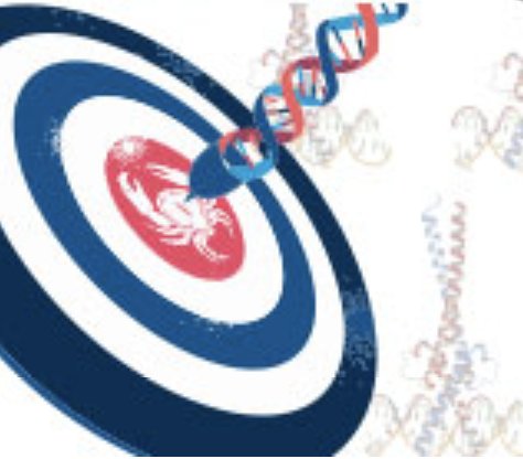 Prof. Leonie Quinn tweet media