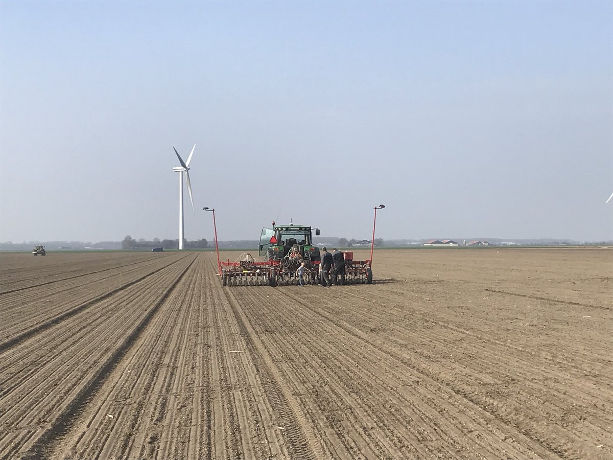 Jaap_Jonker9's tweet photo. Rassendemo van @jacco_liere @ARamshorst zit er weer mooi in! Op naar een mooi vergelijk! #uien #akker #oogst2018 oa. rassen van @DeGrootenSlot @BejoZaden https://t.co/raprtkilka