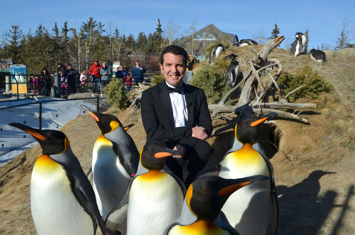 One final card, one last time. The series finale of The Mercer Report is tonight. Please join me, tell two friends &amp; set your PVR. Thanks to everyone who watched over the past 15 seasons &amp; all the nice words. 8:00 CBC TV (8:30 NL) #RMR #BestJobEver