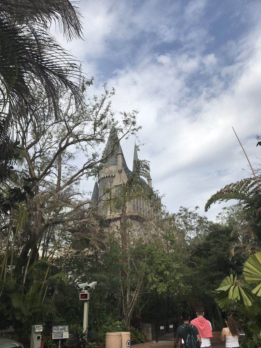 SmithFamilyNote's tweet photo. Evening everyone !! How are we? I’m working on the next Orlando vlog - Feb 2, where did we go? Hopefully live on Thursday #subscribe #follow #like #orlando #wdw #universal #smallyoutubecommunity #SmallYouTuberArmy #youtube https://t.co/vmIt9LIPjg