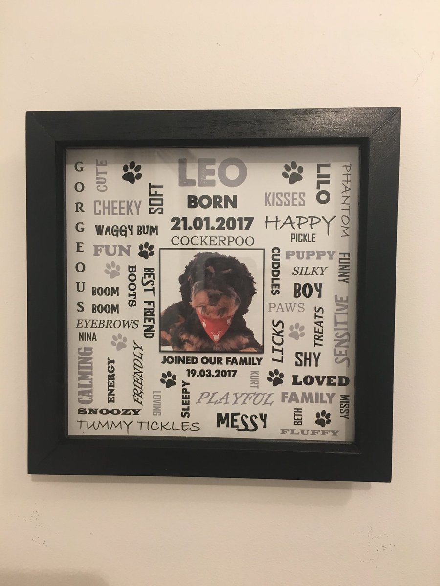 lauraatBowWows's tweet photo. New product, Framed Pet Keepsake... any colour, any pet, your words to describe your furry member of the family #hampshirehour @HampshireHour https://t.co/38HQAO53sj