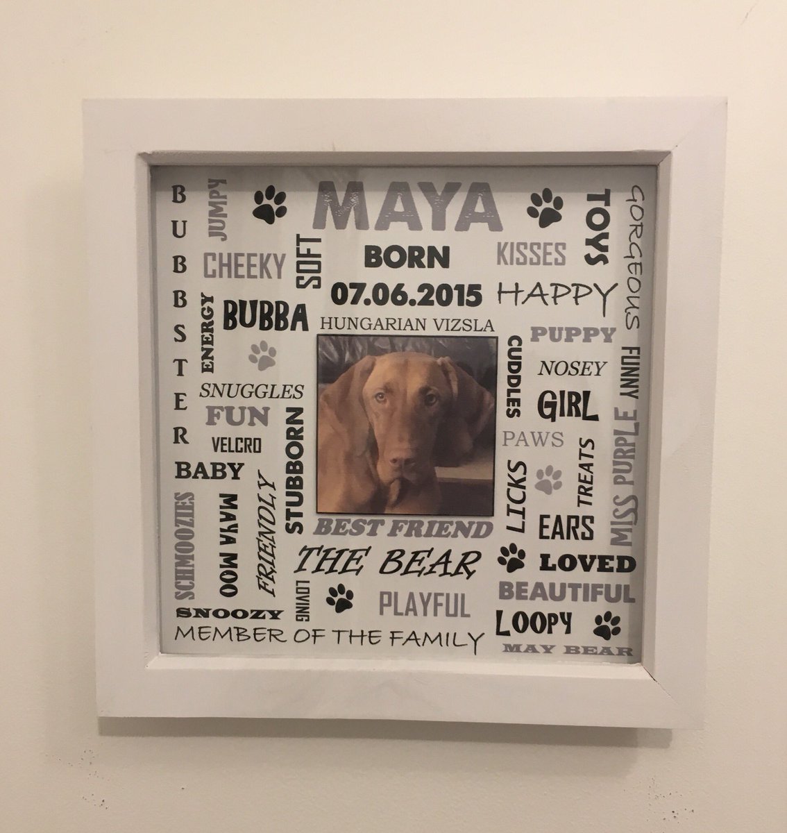 lauraatBowWows's tweet photo. New product, Framed Pet Keepsake... any colour, any pet, your words to describe your furry member of the family #hampshirehour @HampshireHour https://t.co/38HQAO53sj