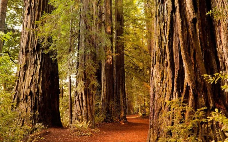 NationalParkFdn's tweet photo. Park employees dish out their insider tips for your next #FindYourPark adventure in this interesting piece from @TaliaAvak at @TravelLeisure! >> https://t.co/WFgGkrLGt3 | #EncuentraTuParque https://t.co/cO9qUzqtt4