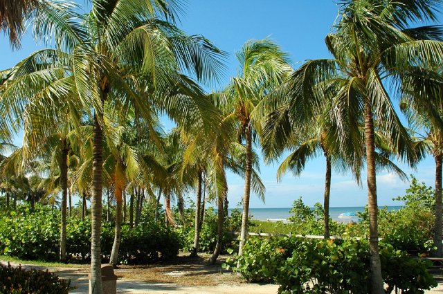 Go green on your next vacation and head down to Key West.
