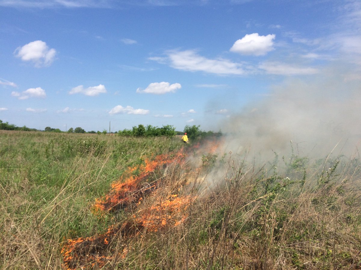 USFWSFire's tweet image. #USFWS firefighters plan to conduct a 200 acre prescribed fire today at Key Cave NWR #ALfire #rxfire #GoodFires