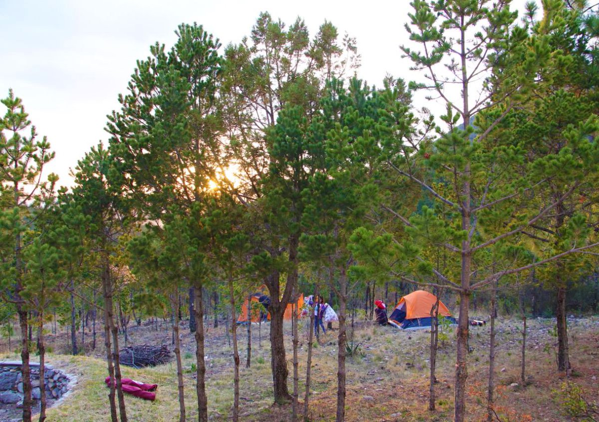 MtyMundo's tweet photo. ¡Muchas gracias a todos los asistentes en nuestro Campamento Mundo Verde! 
Esperamos que se la hayan pasado super bien en este fin de semana de aprendizaje y relax.

¡¡¡Los esperamos en nuestros próximos eventos, campamentos!!!

#MundoVerde #Campamento #Arteaga #Sierra https://t.co/kPcgB9a8ZO