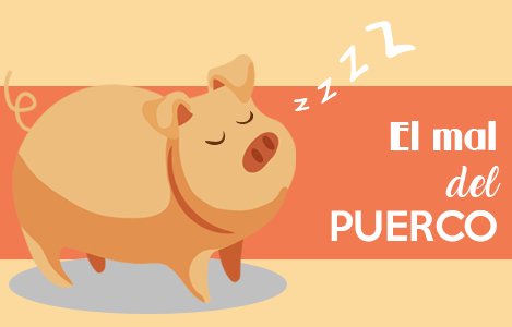 VariedadesMX's tweet photo. El mal del puerco: ¿Por qué nos da sueño después de comer? https://t.co/P5ZwHfVHpj https://t.co/VCmQEXey8v
