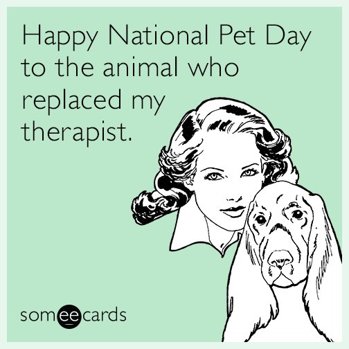 someecards's tweet photo. #NationalPetDay
https://t.co/IrYmTc8k55 https://t.co/ftVSnfSYXZ