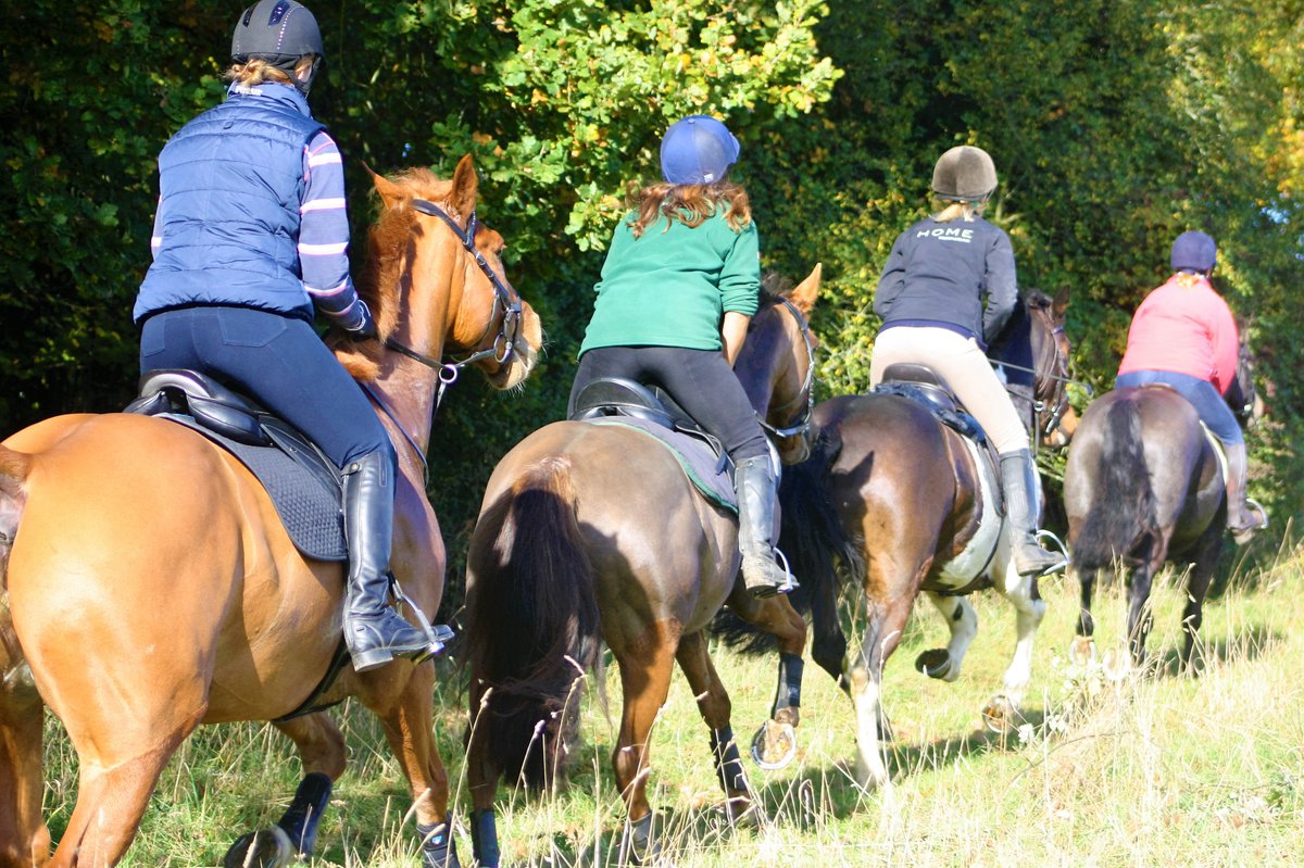 CholseyRiding's tweet photo. Plenty of space this weekend @CholseyRiding 15 routes, stop at a pub for lunch.  Want a guide then how about a private hack?  FREE Wifi and mapped walks for non riding partners.   Book now https://t.co/CqeaxucoXF #horsehour #horsebloggers #gaitpost #haynet https://t.co/Cx8t57k7Yx