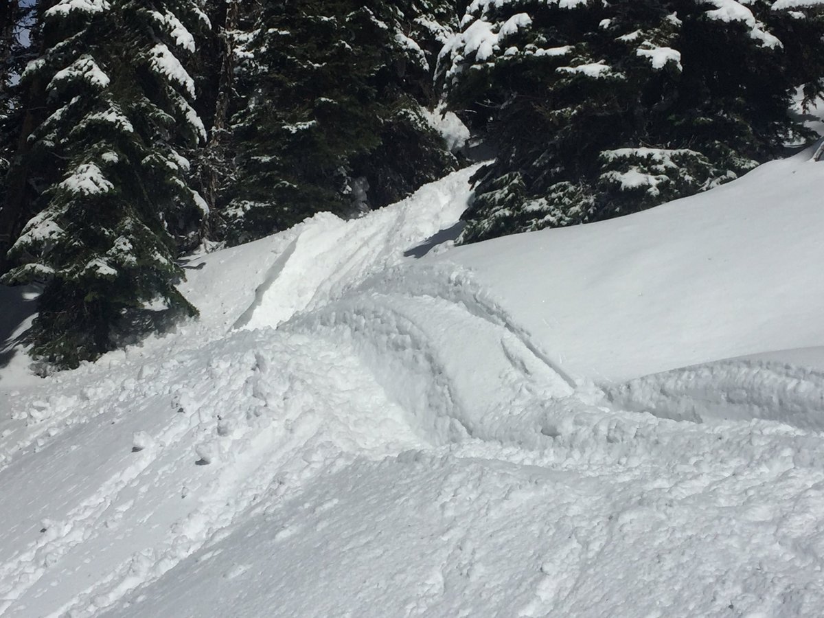 Notill4life's tweet photo. Sled season winding down, been a great one. #powpow #fundayswiththeboys #deepdays #barkntwigs https://t.co/ILiGaNEEyA