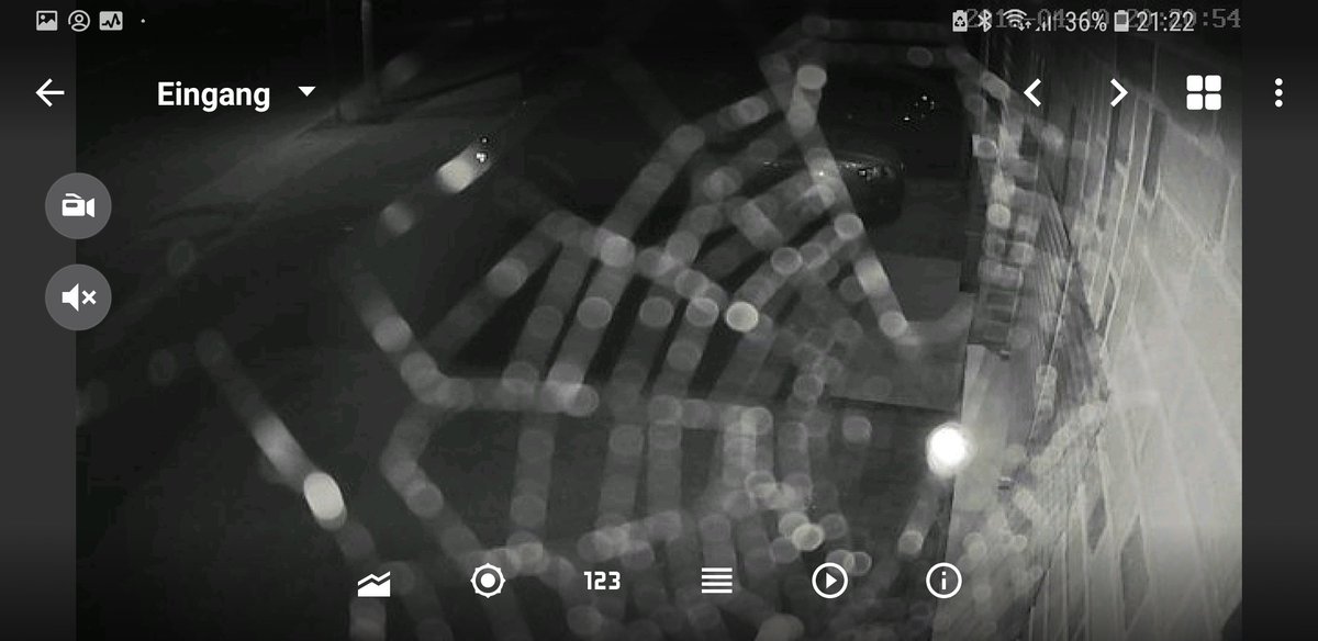 fun_tinker's tweet image. Damn. Do you know the problems with the spiders and security cams? I think I have to build a flamethrower with a remote. Do you have a solution for this problem?

#ipcamera #securitycamera #camera #spider #problem