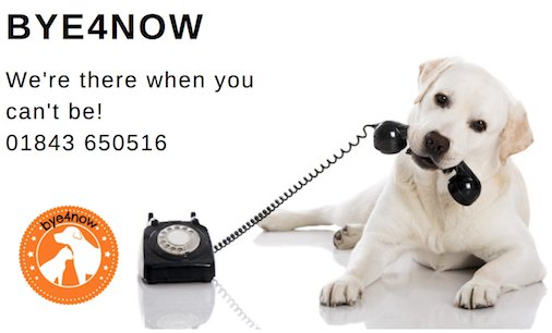 Pet Sitting Service tweet media