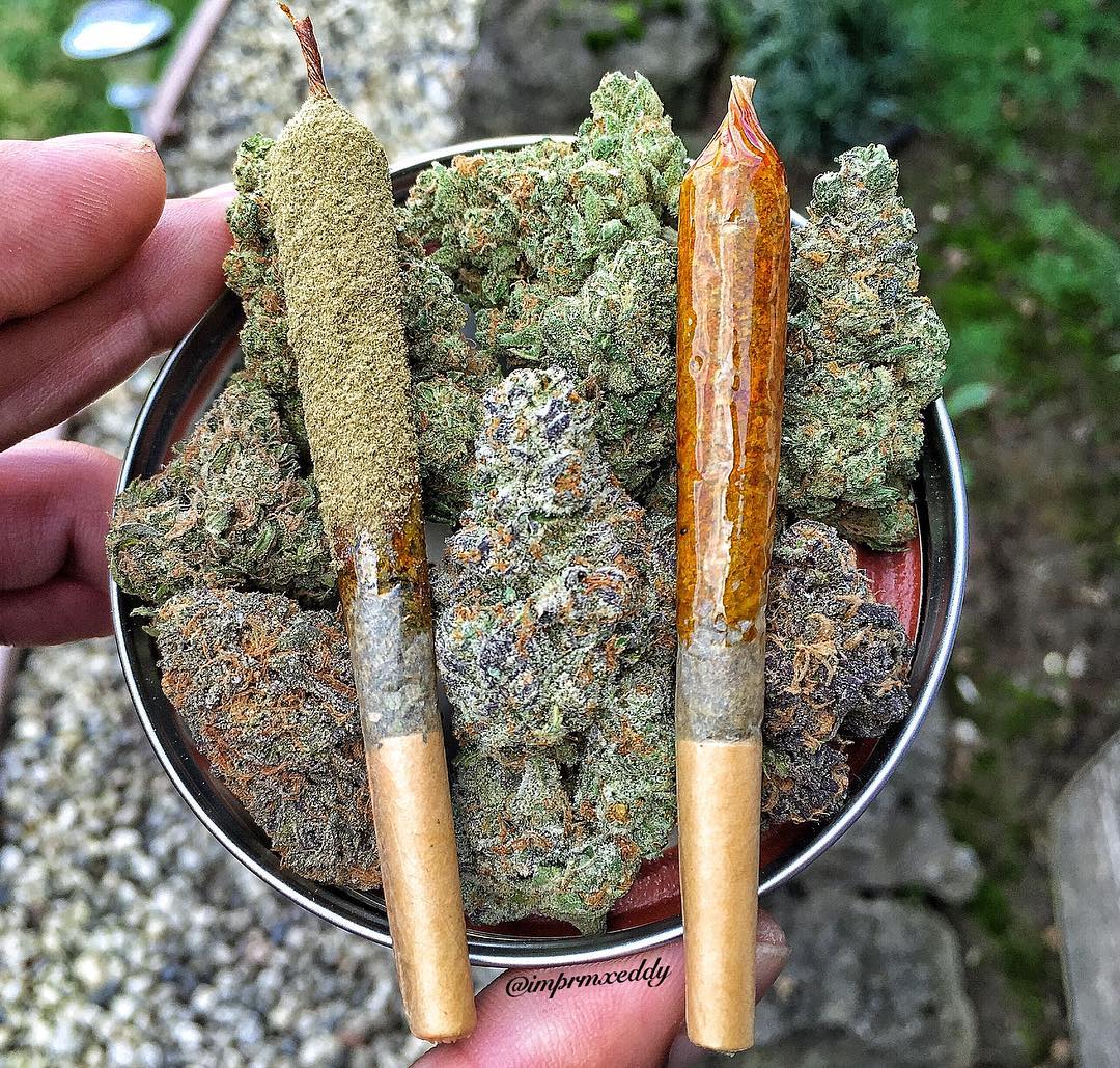 HIGH_TIMES_Mag's tweet photo. Please.

📸: https://t.co/4TeaO8DaTH https://t.co/WTxZ5r7iHr