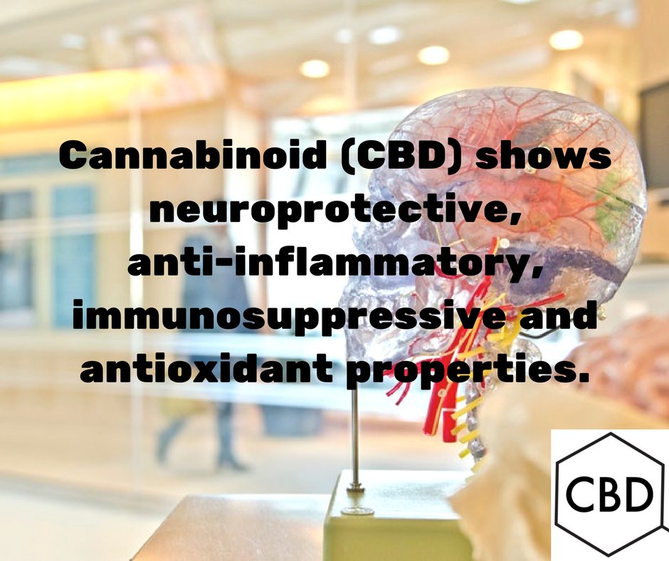 cbdtruthtv's tweet photo. CBDTruth: CBD could also be the primary choice of intervention for Alzheimerโs disease.
#CBDtruth
#CBDheals
#CBDoil
#CBD
#Alzheimers https://t.co/3tmr4vvKai