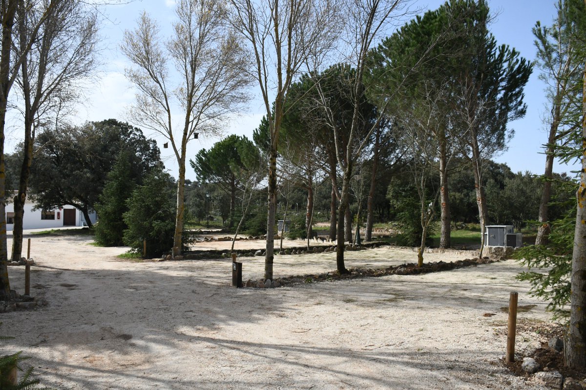 AltoGenal's tweet photo. #PARAUTA FINALIZA LA 6ª FASE DE MEJORAS DEL #CAMPING MUNICIPAL #CONEJERAS
#Genal #SerraniadeRonda #turismo #Malaga @turismodeMLG @turismoconperro @Original_Andalu @malagaguide @Mlgbella @100planes1finde https://t.co/7C9Y4SUdwy