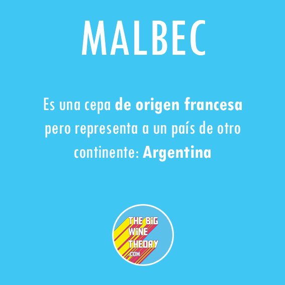 Pablo Ponce Tiviroli tweet media