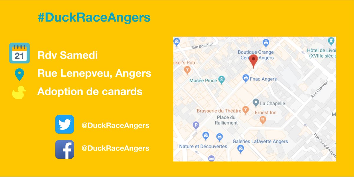 DuckRaceAngers's tweet photo. [ Adoption de canards 🐥 - Samedi 21 avril 2018 ]

#DuckRaceAngers #coursedecanards #evenement #Angers #ruelenepveu https://t.co/LcZ36ivdWO