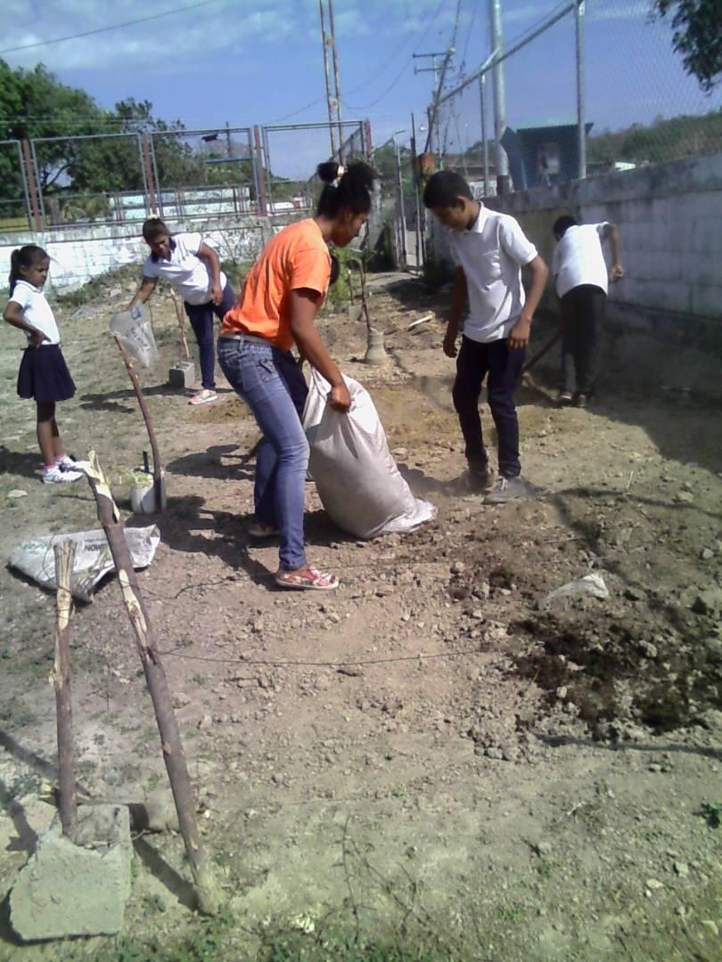 cbitsimonplanas's tweet photo. Siembra de Caraotas con los Estudiantes E.E Sabaneta y su docente proyecto socioproductivo. @MPPEDUCACION @salasimonplanas @AurimarVargas1 @CbitLara https://t.co/Hc79o52ive
