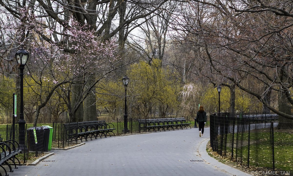 rtanphoto's tweet photo. Cold....Spring 🌸🌷🌸@CentralParkNYC @nycfeelings @NYCDailyPics @discovering_NYC @ThePhotoHour @StormHour #centralpark #NYC #NewYork #NewYorkCity #CentralParkBloomWatch #spring #springday #Flowers #CanonFavPic #Bucketlist #TuesdayThoughts #photography #naturelovers #NatureBeauty https://t.co/Z1jW5qJwlJ