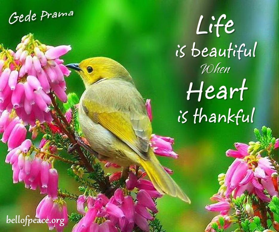 Life is beautiful...
