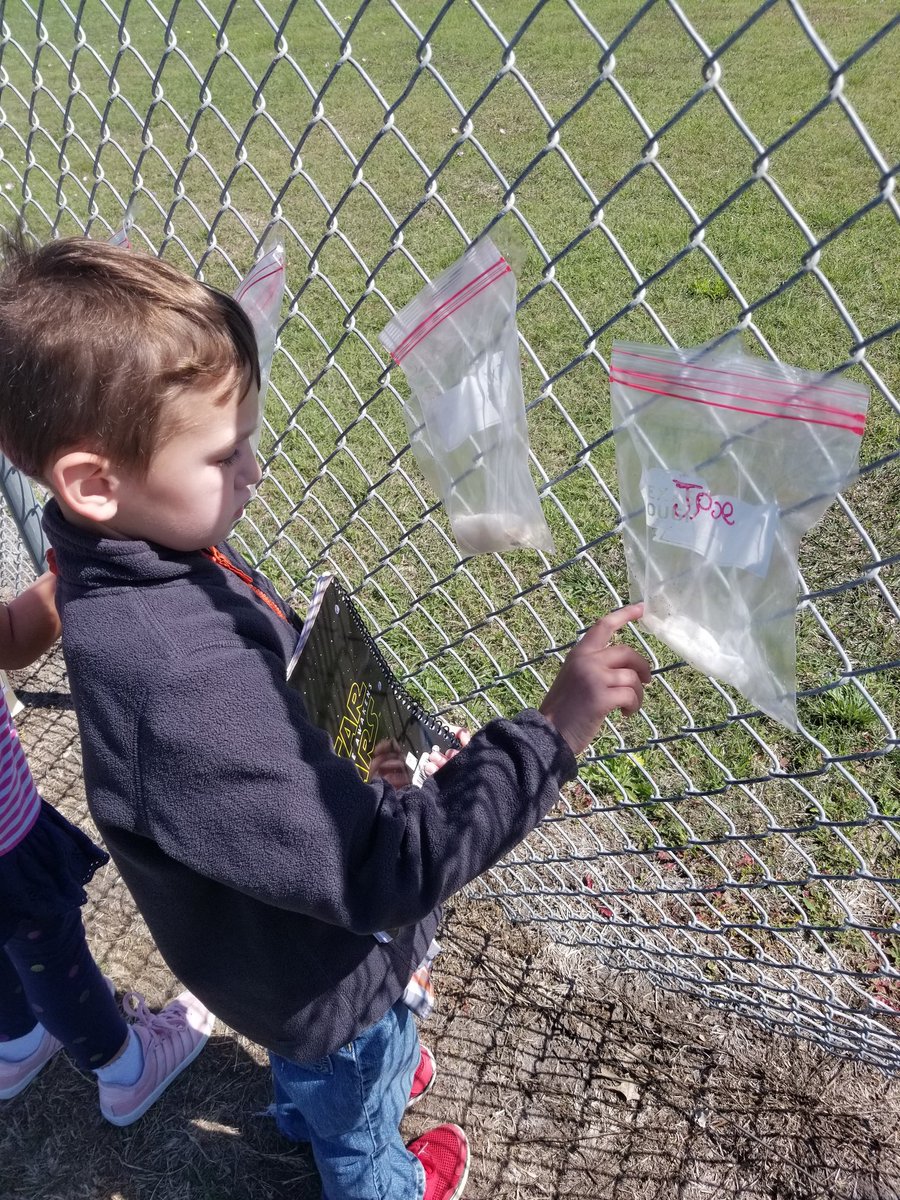 AshleyFehrle's tweet photo. They are hatching. Lol...oh the teachable moments I get to have in first grade!!! #NAVProud #LISDChampions #littlescientists https://t.co/azHNeLAZXs