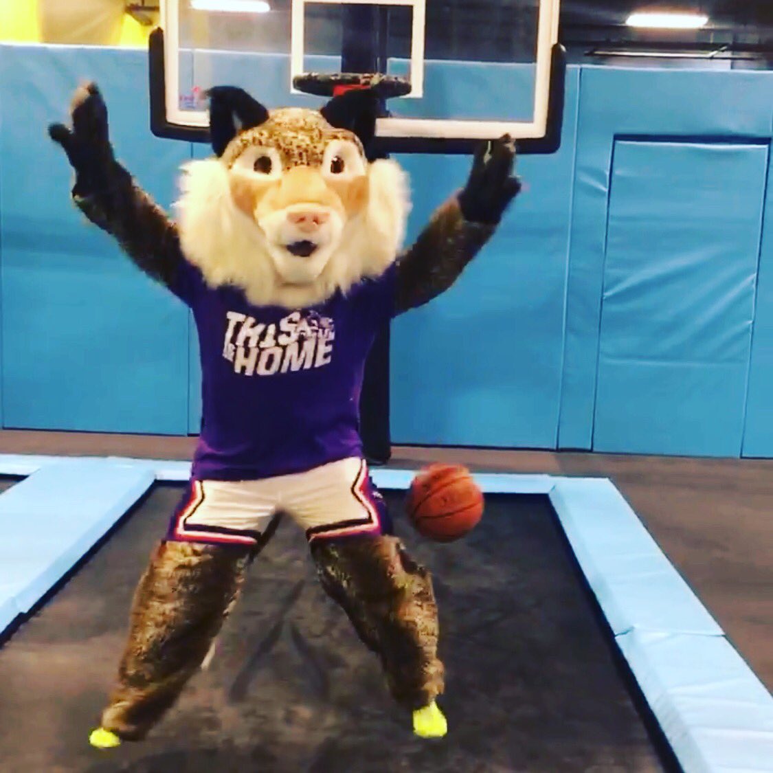 View our IG story to see how Willie did at the trampoline park. <a href="/ACUCabinet/">ACU The Cabinet</a> organizes fun events like these for students to take part in year-round. Check back in May for goat yoga 🐐#ACU22