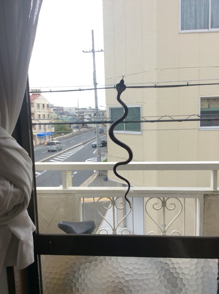 Npo法人ふぉーらいふ 公式 على تويتر フリースクール ヘビ ヘビ おもちゃ 鳩避け フリースクール