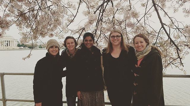 WildWWomen's tweet photo. the cold never bothered us anyway 🌸💁‍♀️🌸 we bundled up for a  most wonderful peak bloom walkabout! https://t.co/ljmvcMI3wH https://t.co/ItT5k4bQua