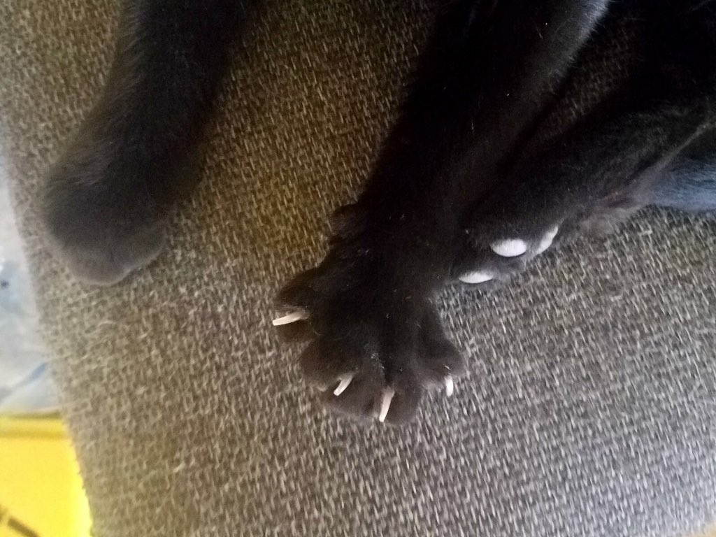 I've been violated! Nipped! The betrayal! My very existence has been threatened!