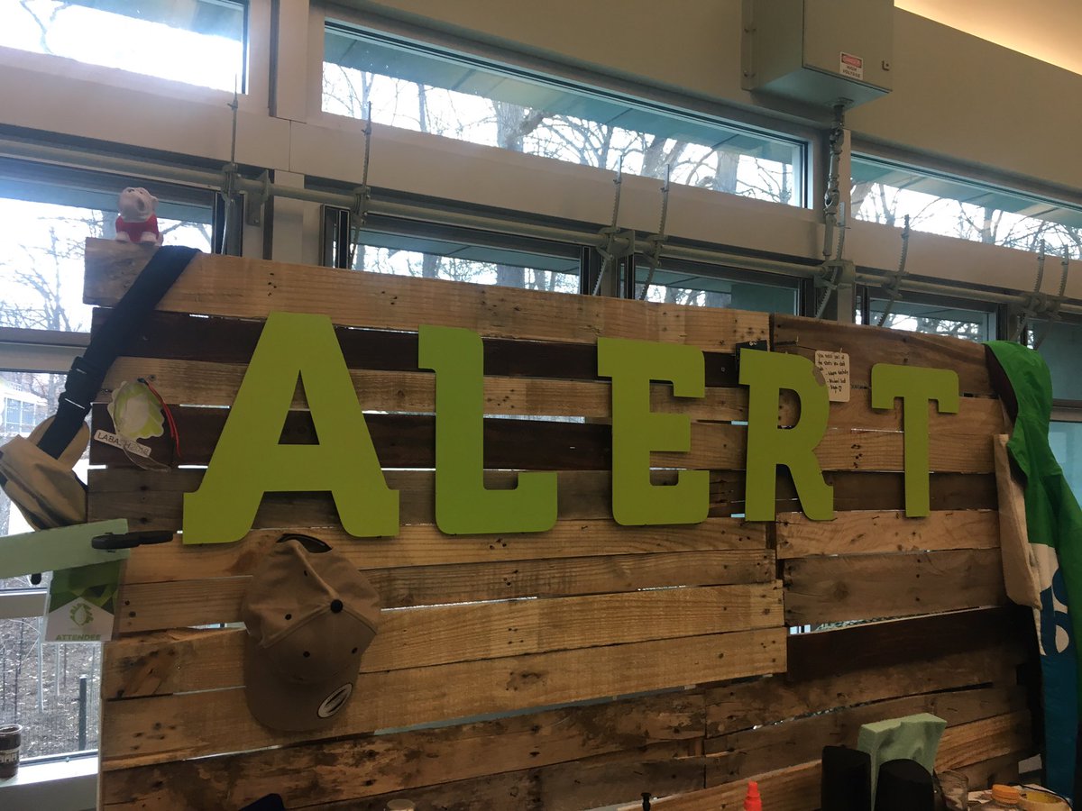 Post-bash fun with the pallet wall