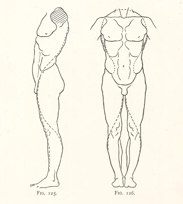 ランテリは、1901年に出版された自著の中で、体表に現れる溝をつなぎ、連続性のある曲線として捉える見方を説いた。この方法は、後年リシェも引用している。この方法は、それ以前の美術技法書の中にあったかもしれないが、美術解剖学書としては初出ではないか。 